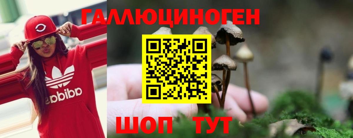 Галлюциногенные грибы Magic Shrooms  Вход с VPN  Галлюциногенные грибы Magic Shrooms  Гагарин 